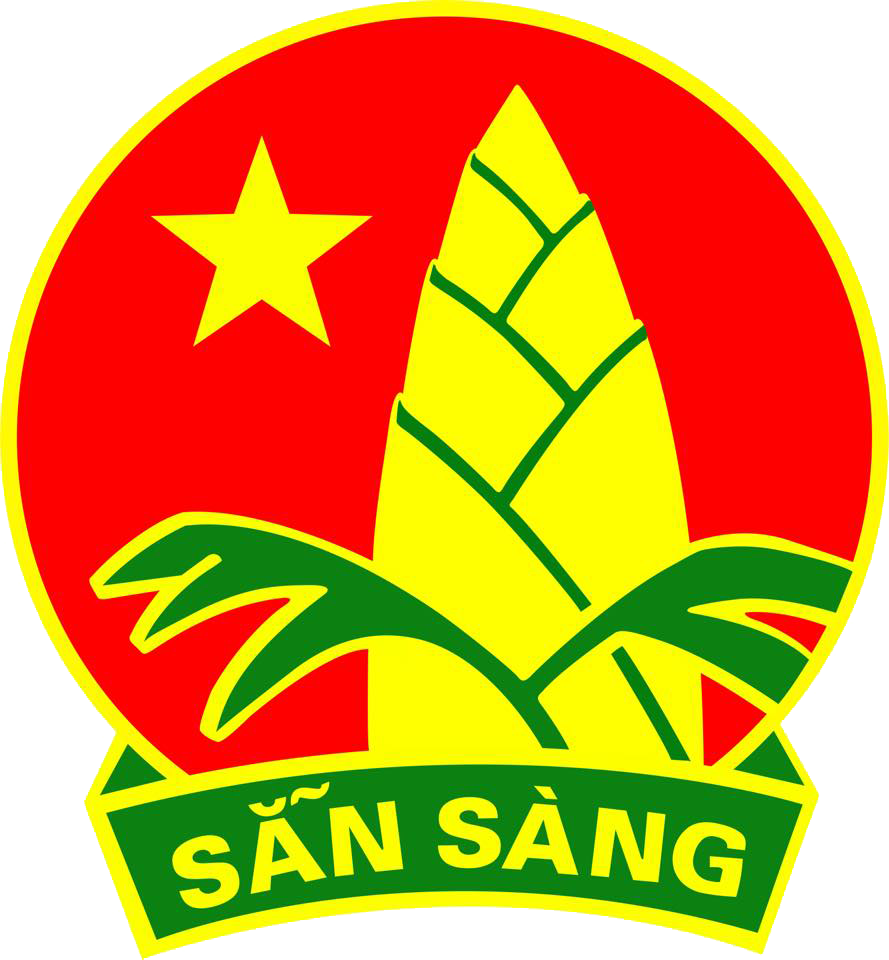 Huy hiệu đội